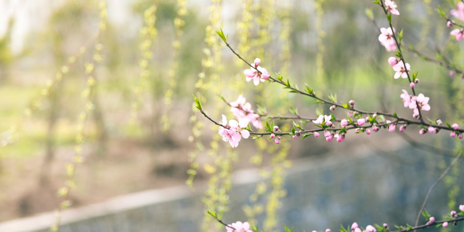 SPRING INTO SUMMER SALE at Majestic Floors and More LLC Sales